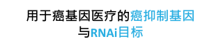 用于癌基因医疗的癌抑制基因与RNAi目标